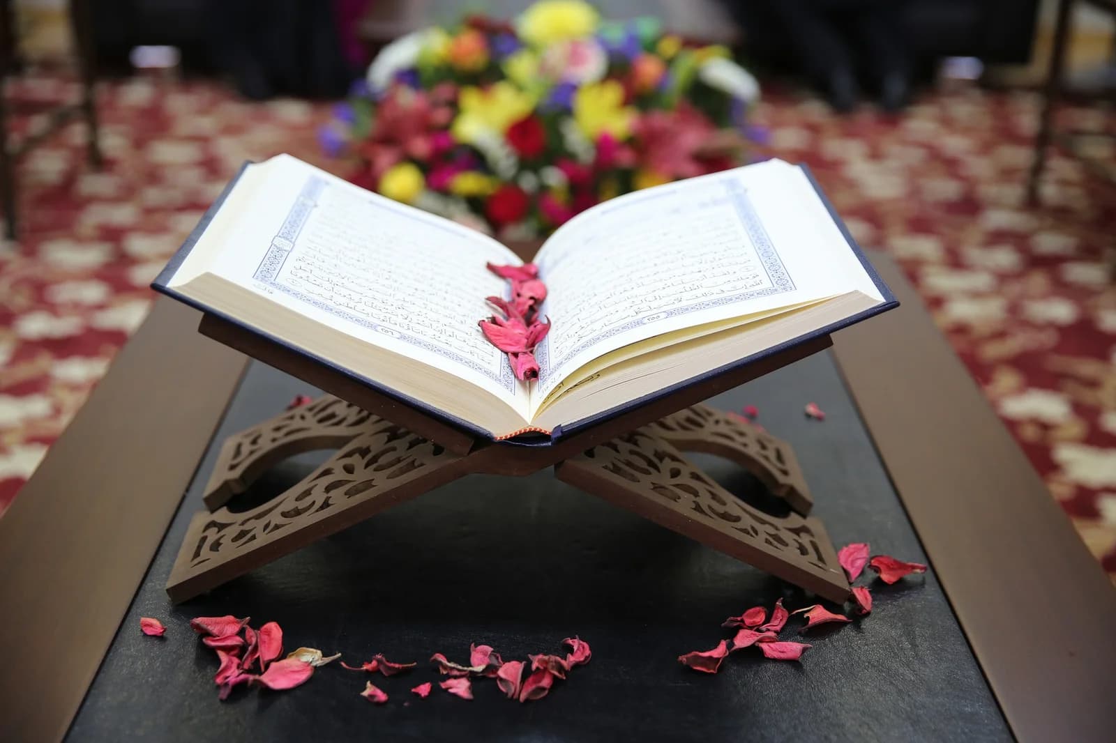 Quran Translation